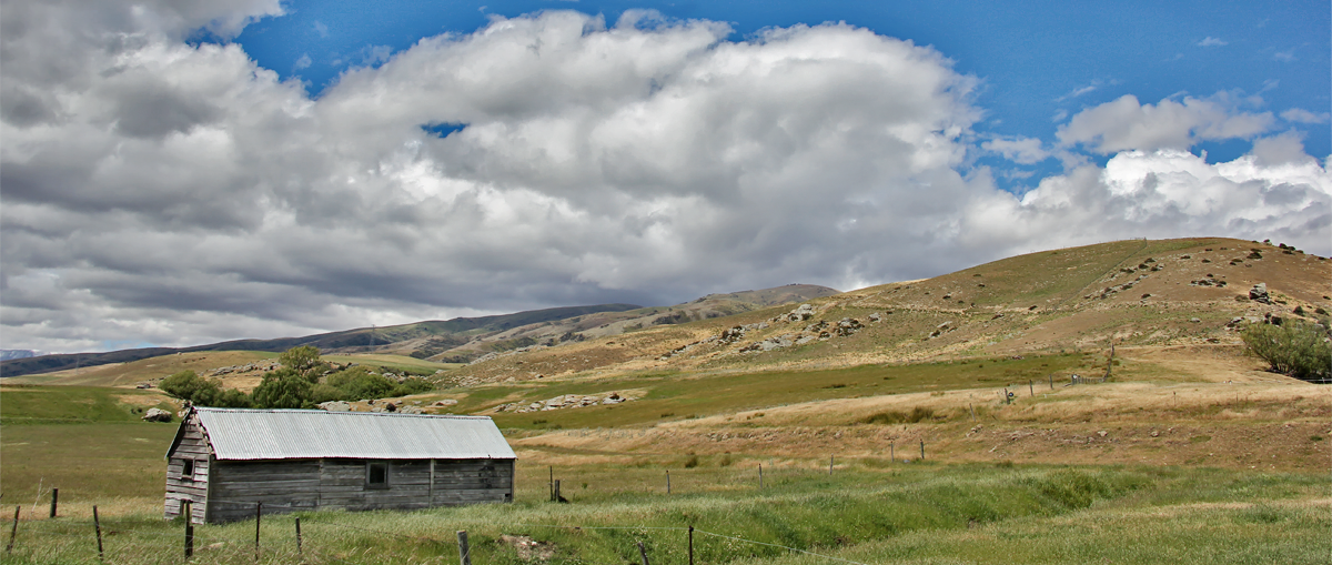Lindis landscape of rugged, rolling hills with a ramshackle tin barn in the foreground.